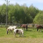 Przy Stajni *