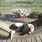 Przy Stajni Bauernhof *