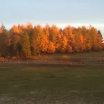 Przy Stajni Kierzkowo (Gdansk)