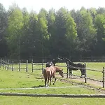 Przy Stajni *