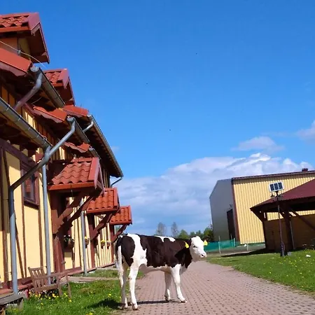 Przy Stajni * Kierzkowo (Gdansk)