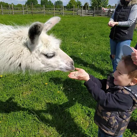 Przy Stajni Kierzkowo (Gdansk)