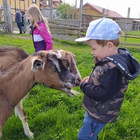 Przy Stajni 农家乐 *