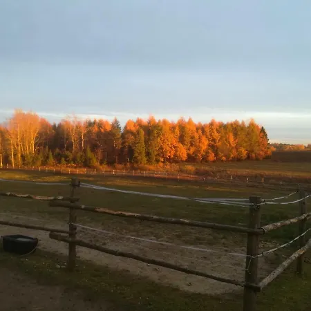 Przy Stajni Farma *