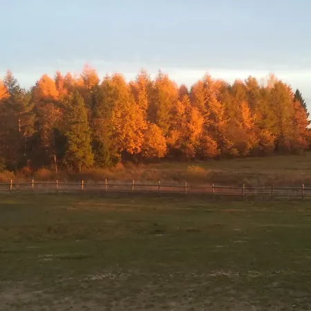 Przy Stajni Kierzkowo (Gdansk)