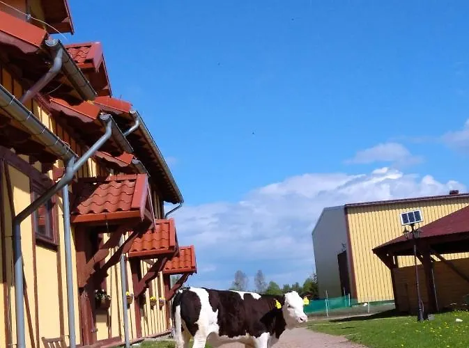 Przy Stajni * Kierzkowo (Gdansk)