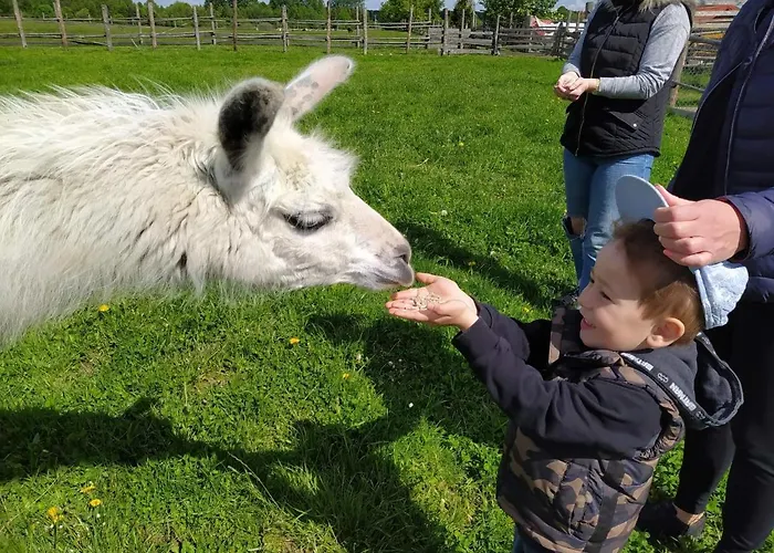 Przy Stajni Kierzkowo (Gdansk)