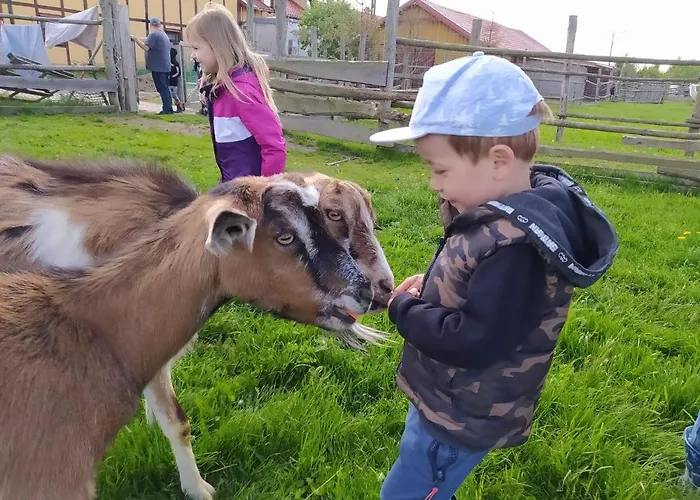 Przy Stajni Gospodarstwo agroturystyczne *