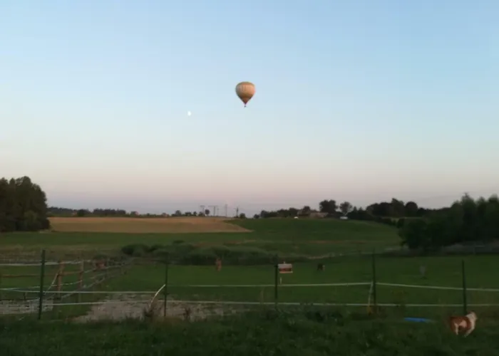 Przy Stajni Gospodarstwo agroturystyczne *