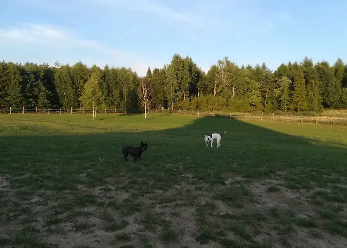 农家乐 Przy Stajni Kierzkowo (Gdansk)