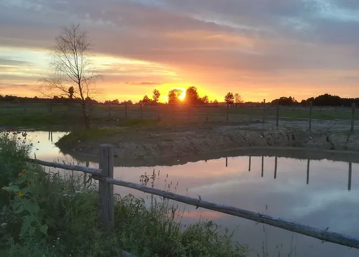 Przy Stajni Kierzkowo (Gdansk)
