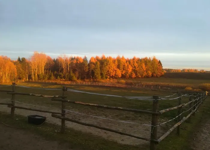 Przy Stajni Gospodarstwo agroturystyczne *