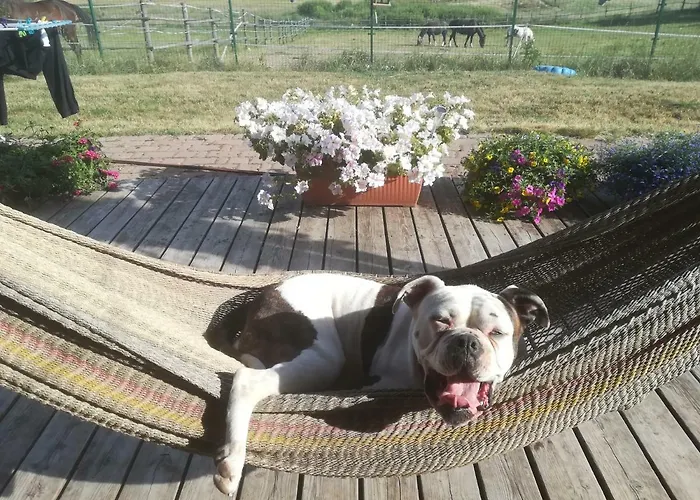 Przy Stajni Gospodarstwo agroturystyczne *