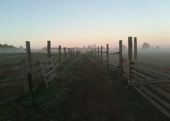 Gospodarstwo agroturystyczne Przy Stajni Kierzkowo (Gdansk)