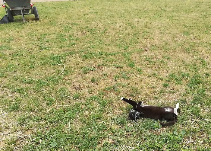 Gospodarstwo agroturystyczne Przy Stajni Kierzkowo (Gdansk)