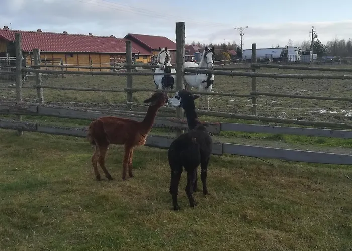 Przy Stajni 农家乐 Kierzkowo (Gdansk)