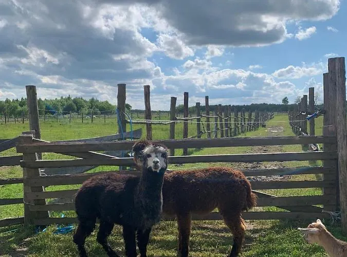 Gospodarstwo agroturystyczne Przy Stajni